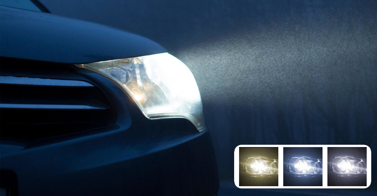 Xenon HID Bulb